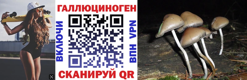 где купить   Иваново  Псилоцибиновые грибы GOLDEN TEACHER 